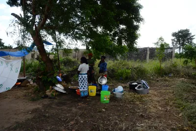 DSC_8685 (Large).JPG